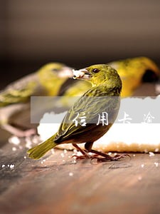 信用卡逾期 五天 征信 信用卡逾期 五天 征信